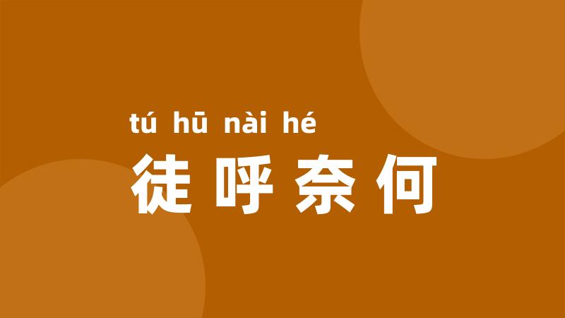 徒呼奈何