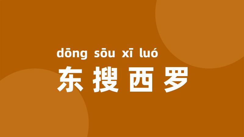 东搜西罗