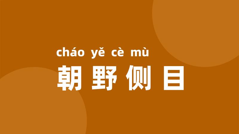 朝野侧目