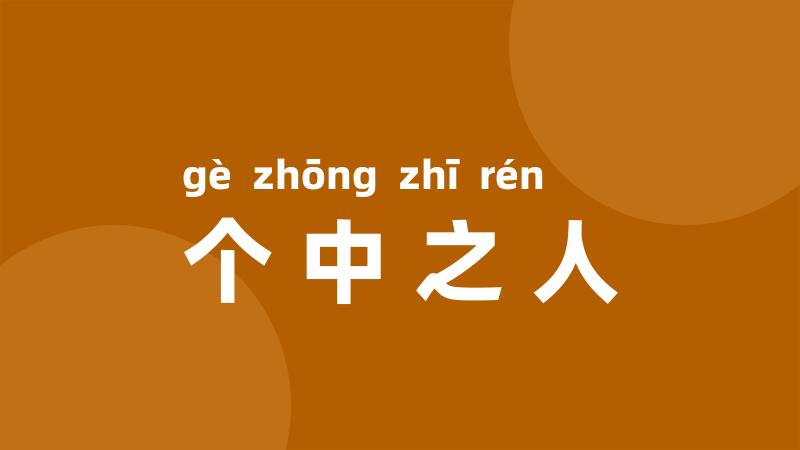 个中之人