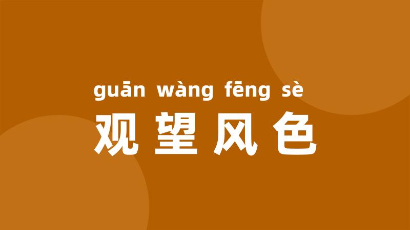 观望风色