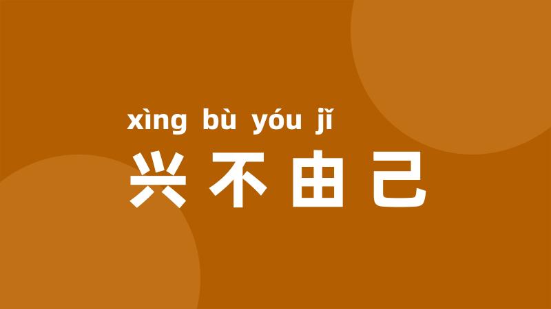 兴不由己