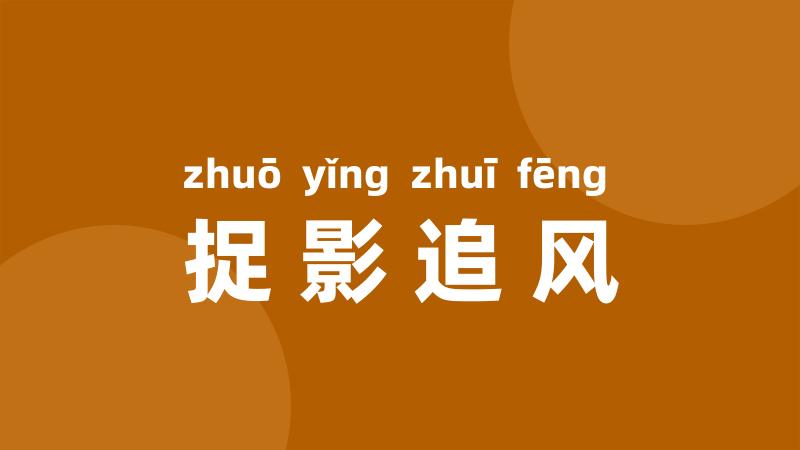捉影追风