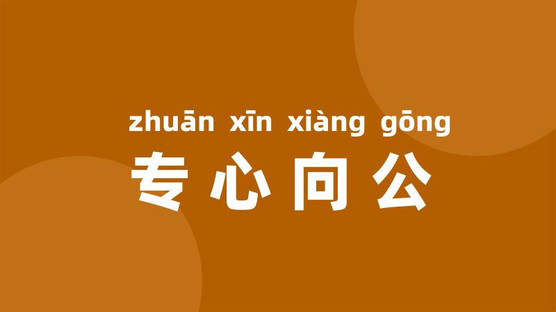 专心向公