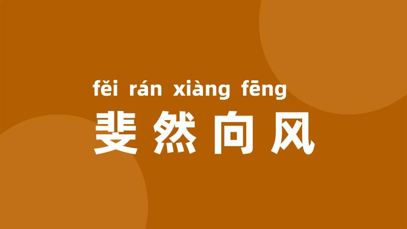 斐然向风