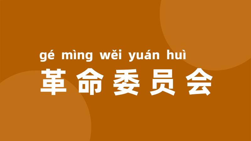 革命委员会
