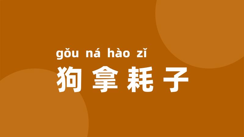 狗拿耗子