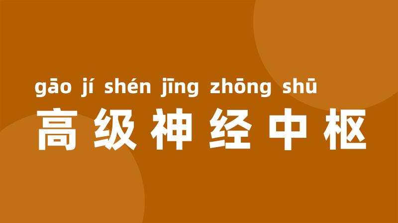 高级神经中枢