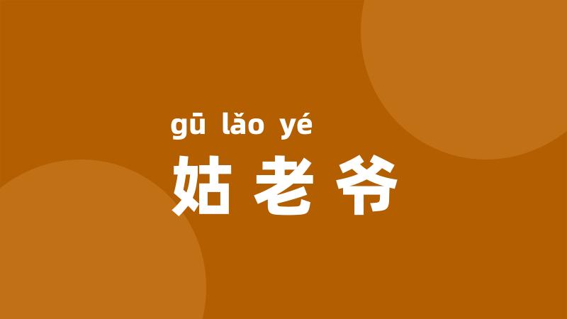 姑老爷