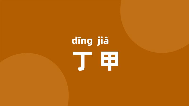 丁甲