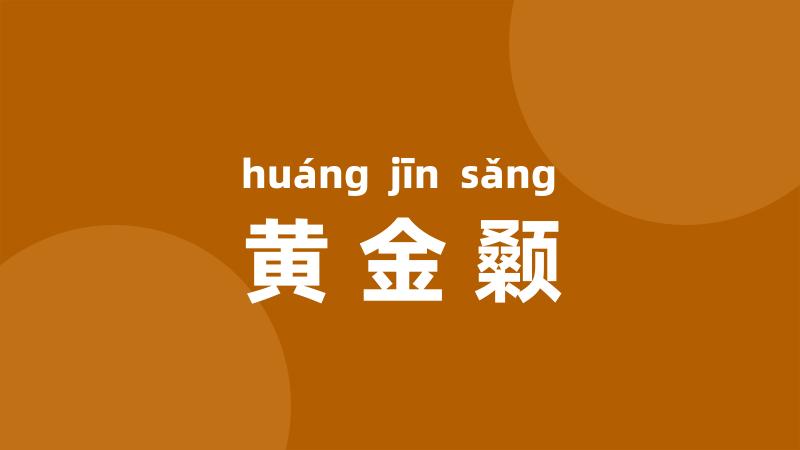 黄金颡