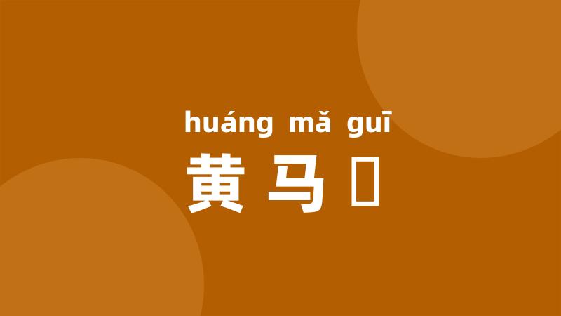 黄马袿