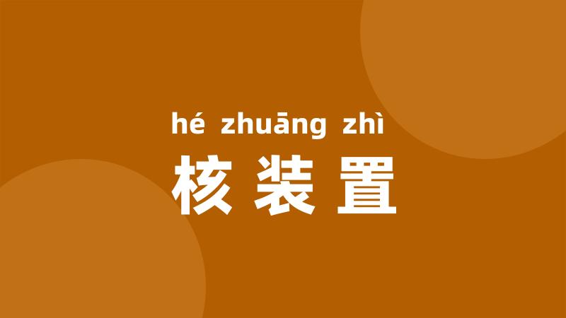 核装置