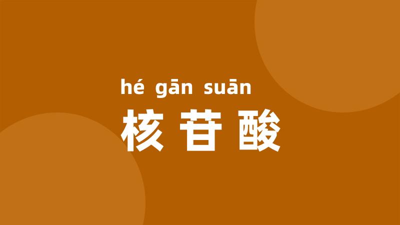 核苷酸