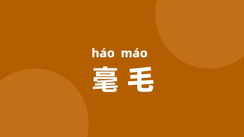 毫毛