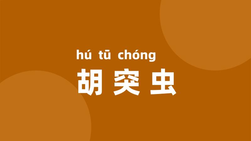 胡突虫