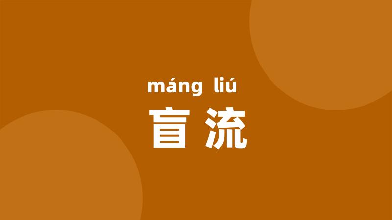 盲流