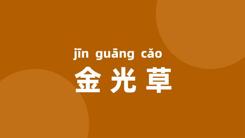 金光草
