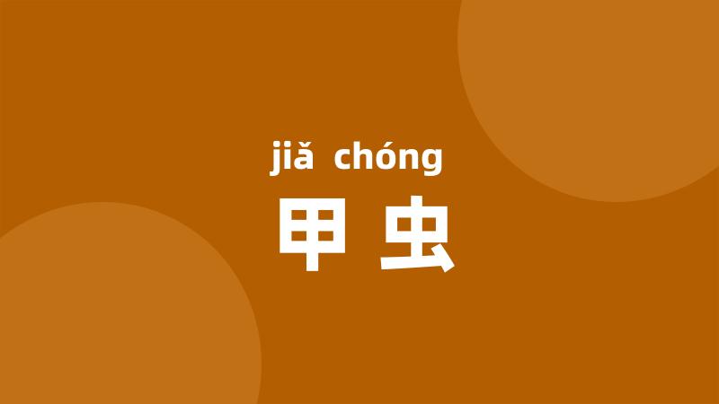 甲虫