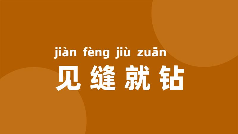 见缝就钻