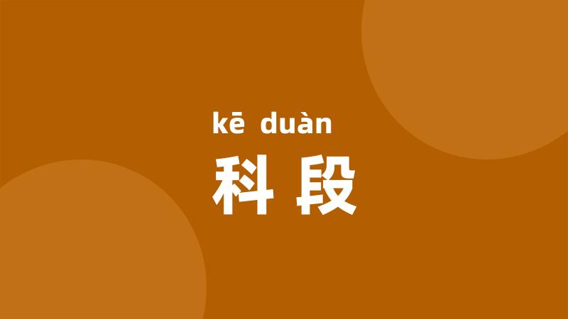 科段