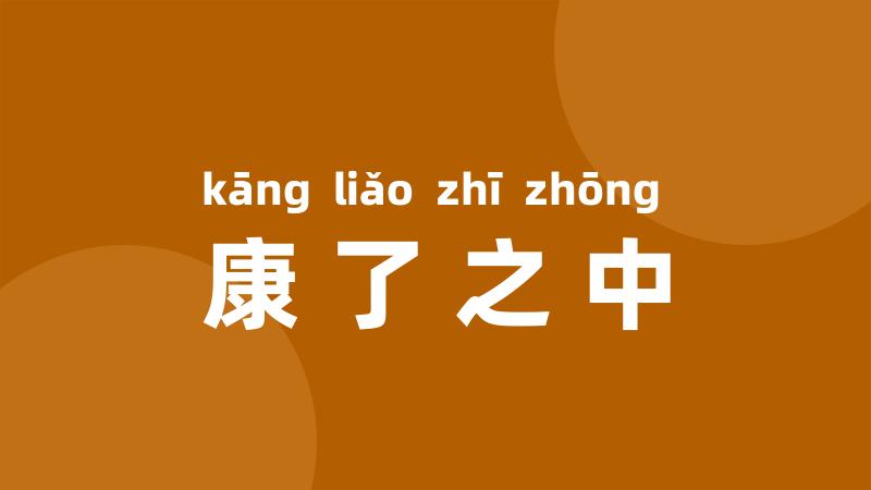 康了之中