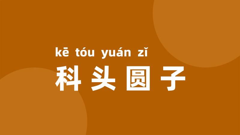 科头圆子