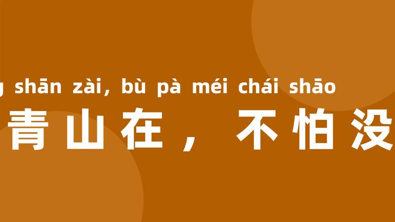 留得青山在,不怕没柴烧