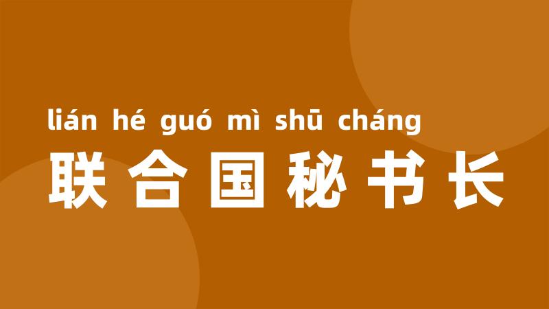 联合国秘书长