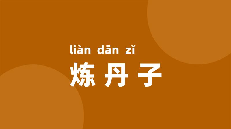 炼丹子