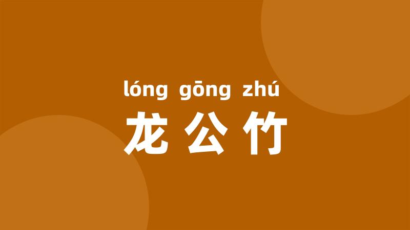 龙公竹