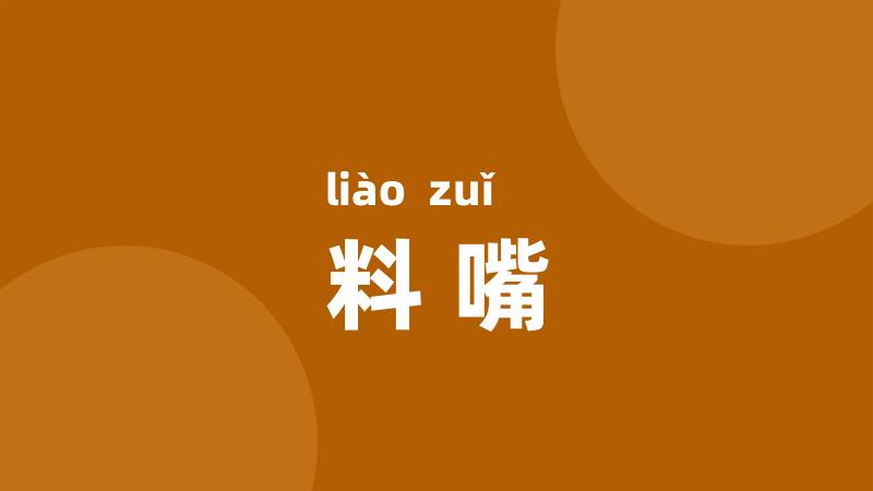 料嘴