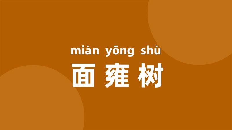 面雍树