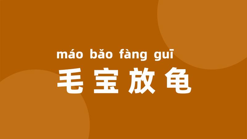 毛宝放龟