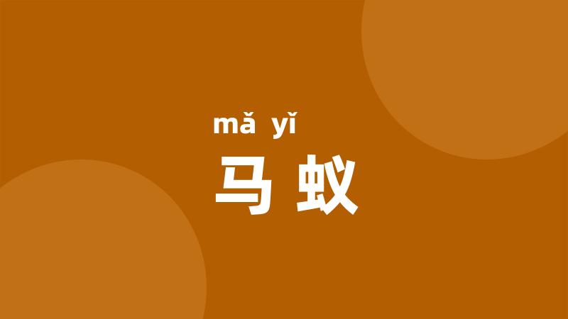 马蚁