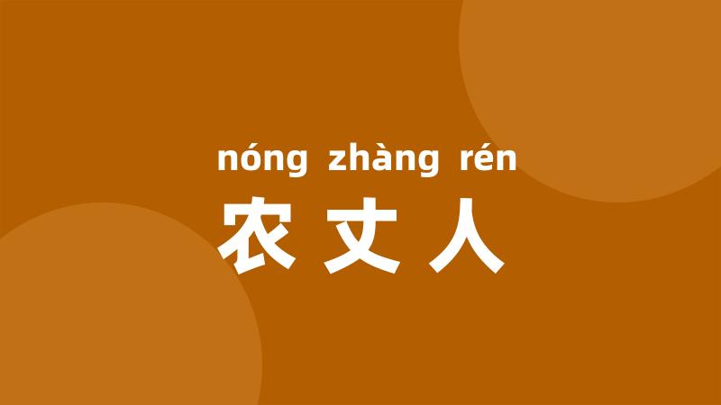 农丈人