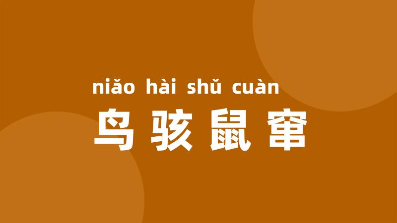 鸟骇鼠窜