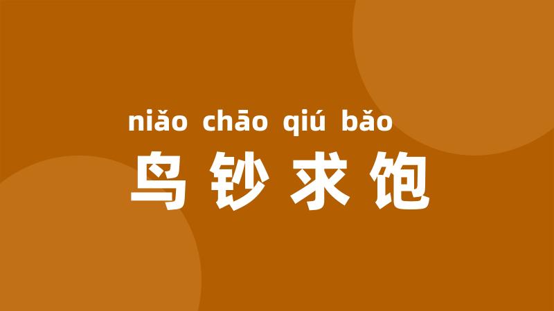 鸟钞求饱