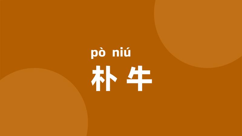朴牛
