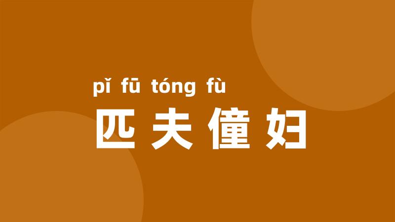 匹夫僮妇