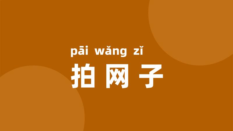 拍网子