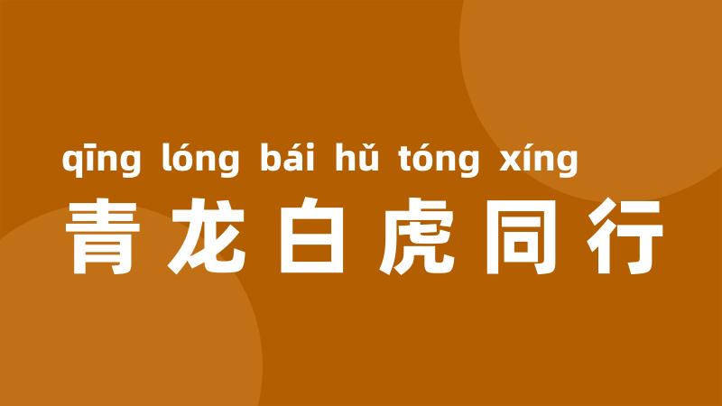青龙白虎同行