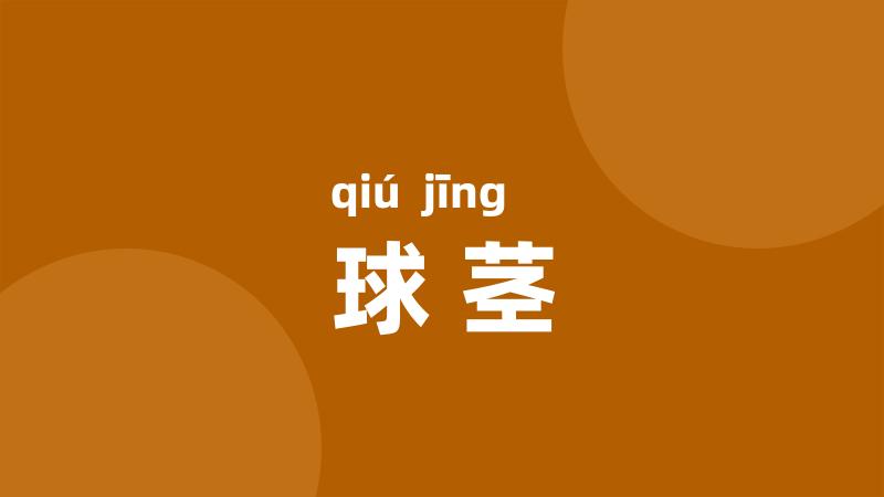 球茎