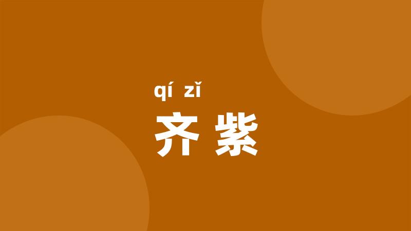 齐紫
