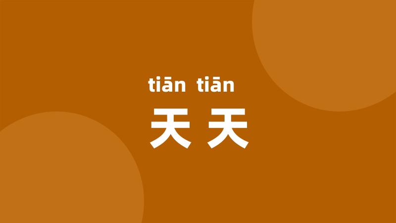 天天