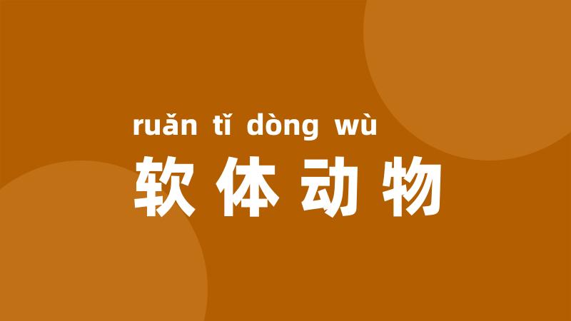 软体动物