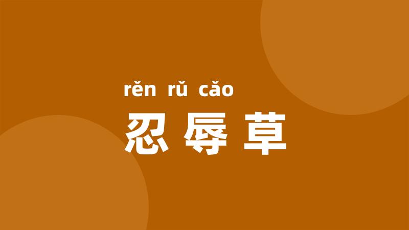 忍辱草