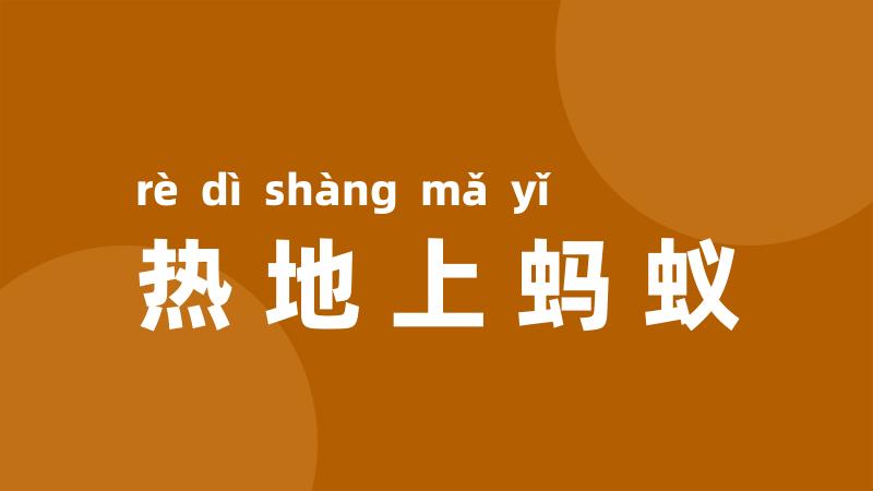 热地上蚂蚁
