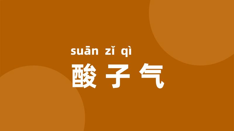 酸子气