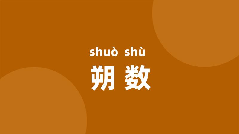 朔数